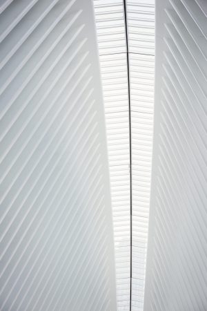 The central spine of an atrium roof and ridges in the roofline in a modern building.